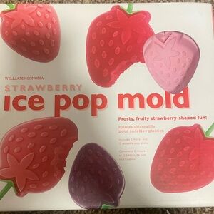 Williams Sonoma Strawberry Ice Pop Mold - Red and Pink